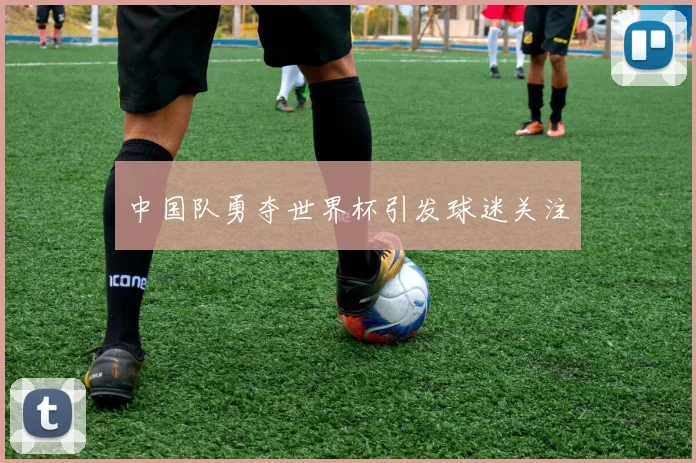 中国队勇夺世界杯引发球迷关注