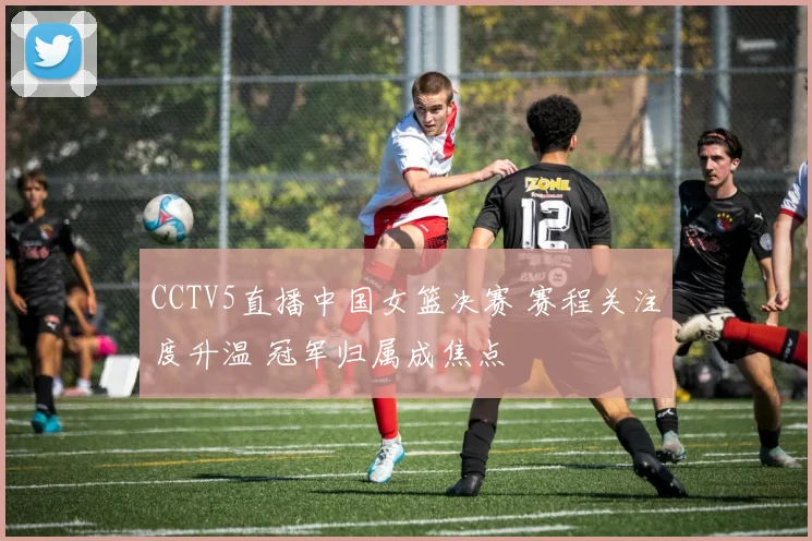 CCTV5直播中国女篮决赛 赛程关注度升温 冠军归属成焦点
