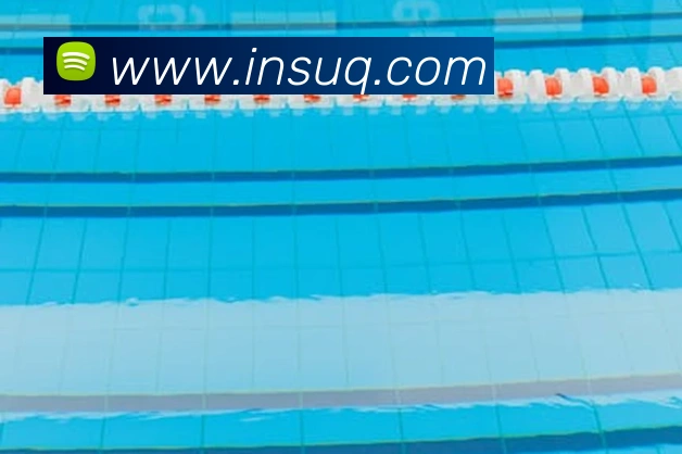 开云手机入口官方网站平台生态图