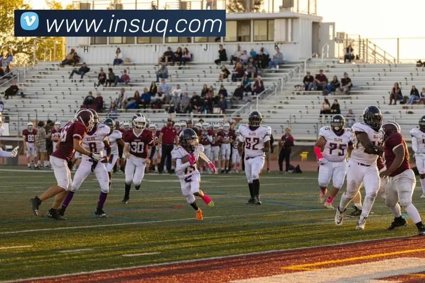 开云手机入口官方网站全站App